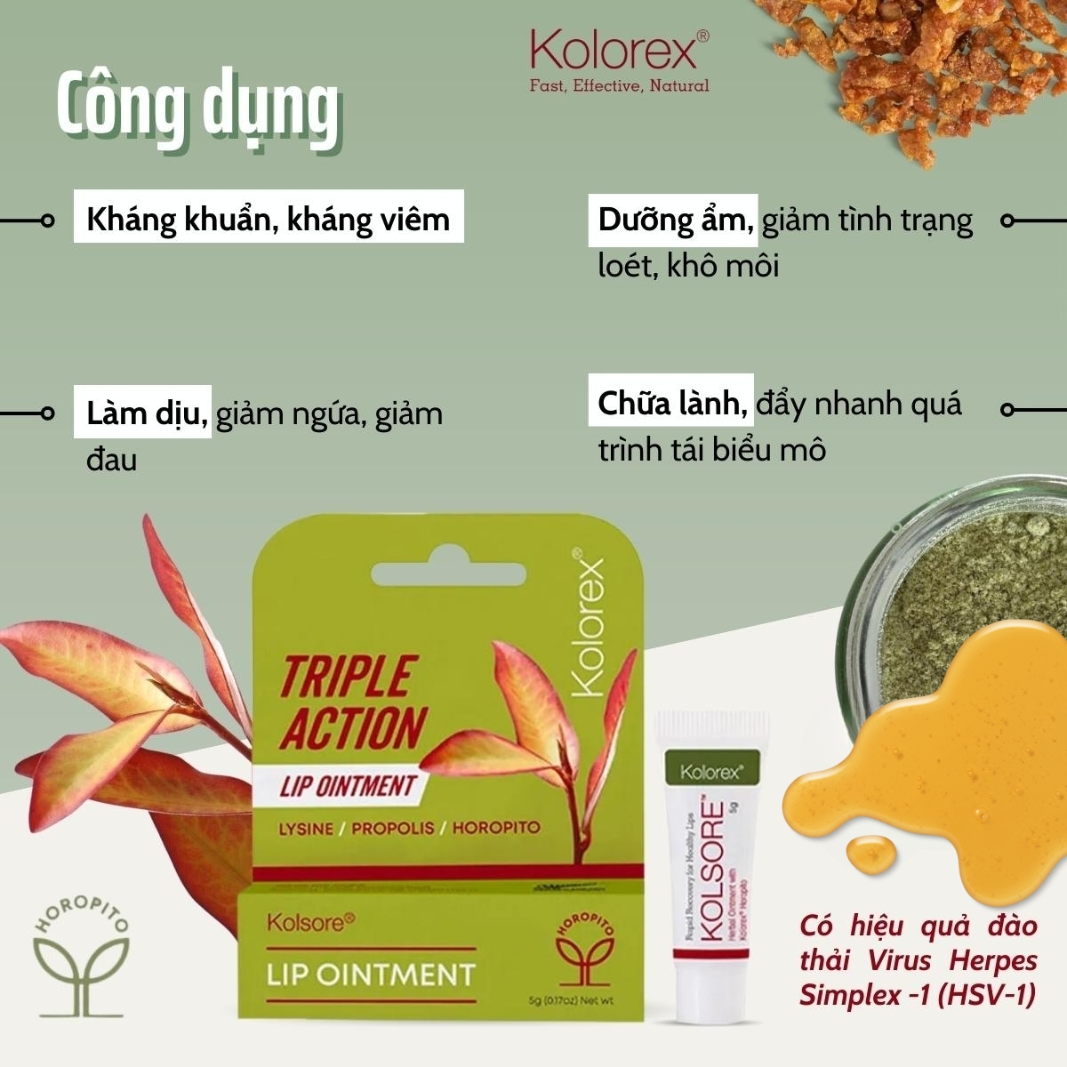Kem hỗ trợ chàm môi, herpes môi Kolorex Kolsore Lip Care Ointment
