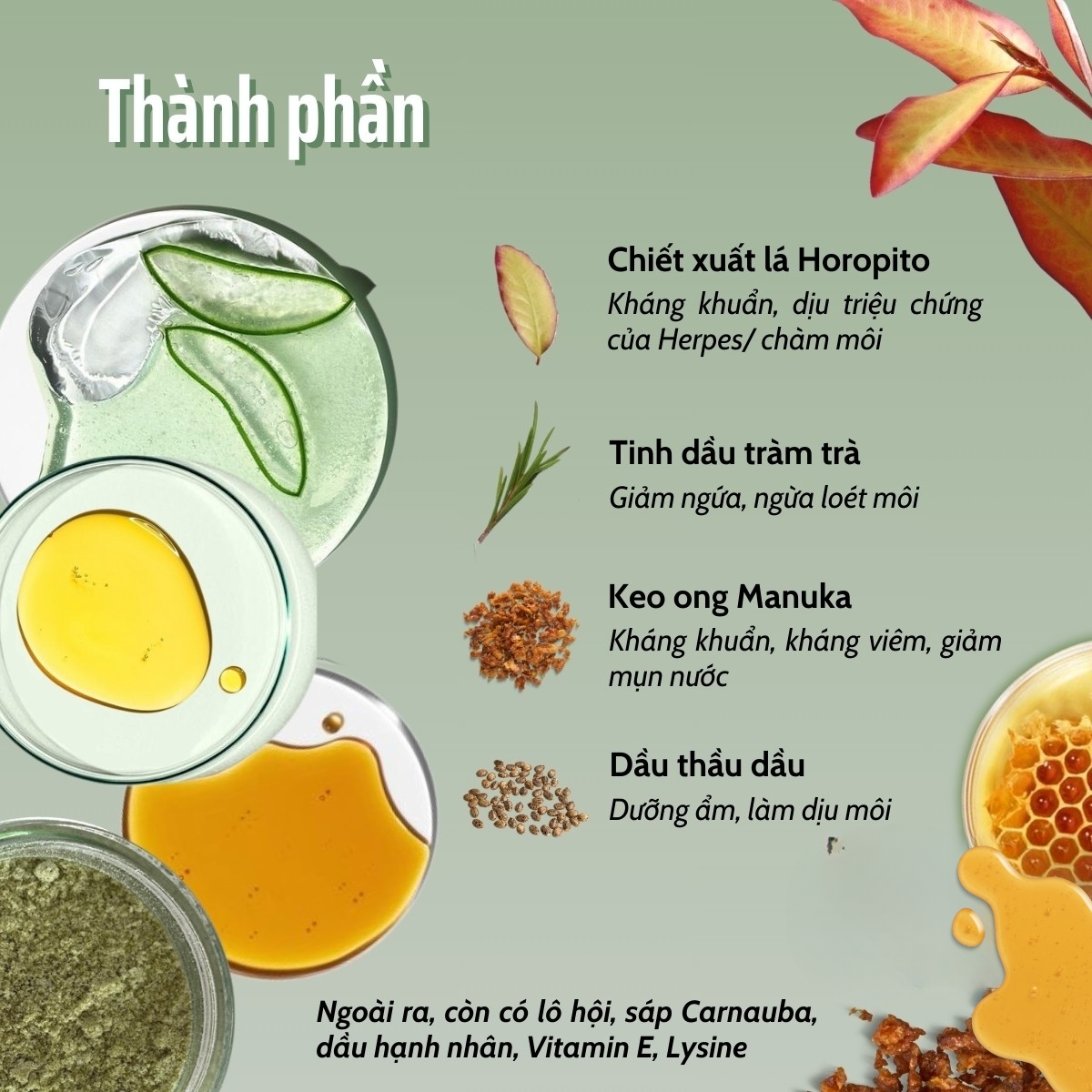 Kem hỗ trợ chàm môi, herpes môi Kolorex Kolsore Lip Care Ointment