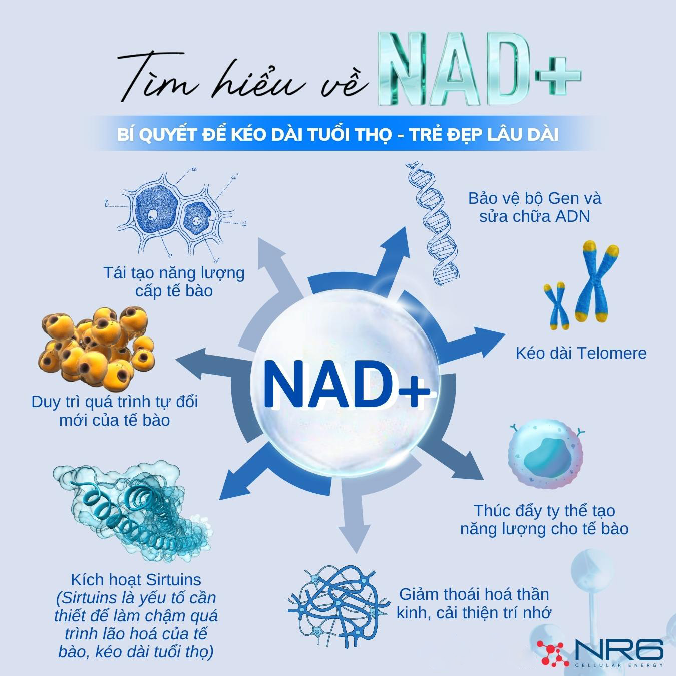 Viên uống Xtend-Life NR6: tăng sinh NAD tự nhiên, chống lão hóa và tăng cường tuổi thọ
