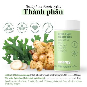 Viên uống tăng cường tập trung, tỉnh táo và năng lượng Lifestream Brain Fuel Nootropics (60 Viên)
